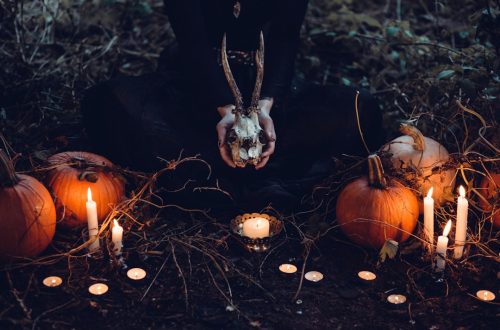 Photo Pumpkin track lights